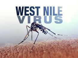 Adozione di misure di prevenzione e di controllo della West Nile Disease (Febbre del Nilo Occidentale).